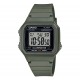 Ceas Casio, Collection W-21 W-217H-3AVDF